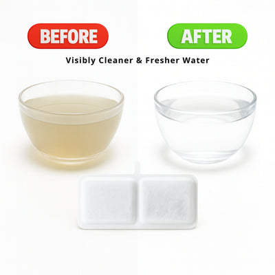 Nispira Cat Water Fountain Filters Compatible with Kastty Battery Operated 108oz/3.2L Pet Fountain, Activated Carbon Replacement Filters