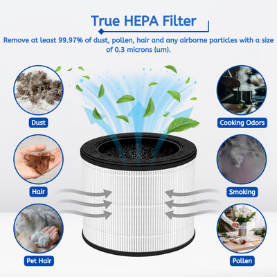 Nispira Airmega 100 3-in-1 True HEPA Activated Carbon Filter Replacement For Coway Airmega 100 Air Purifier