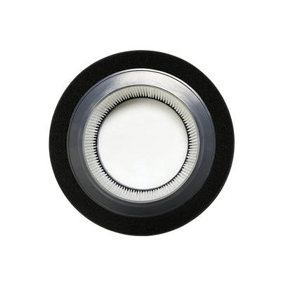 Nispira Filter L True HEPA Activated Carbon Pre Filter Compatible with Air Purifier AC4200W, FLT4200