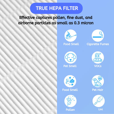 Nisipra AP03 Replacement HEPA Filter for Conair Portable Small Air Purifier Model AP03