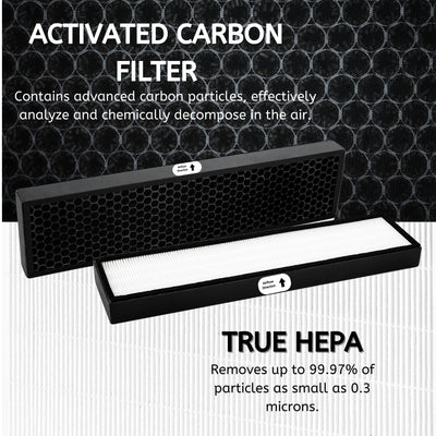 Nispira F1701HE True HEPA Replacement Filter for Hunter F1701HE/21 and 30613 Fits HT1701 HT1701BB F1701HE/PM 30100 30100B 30100W Air Purifiers